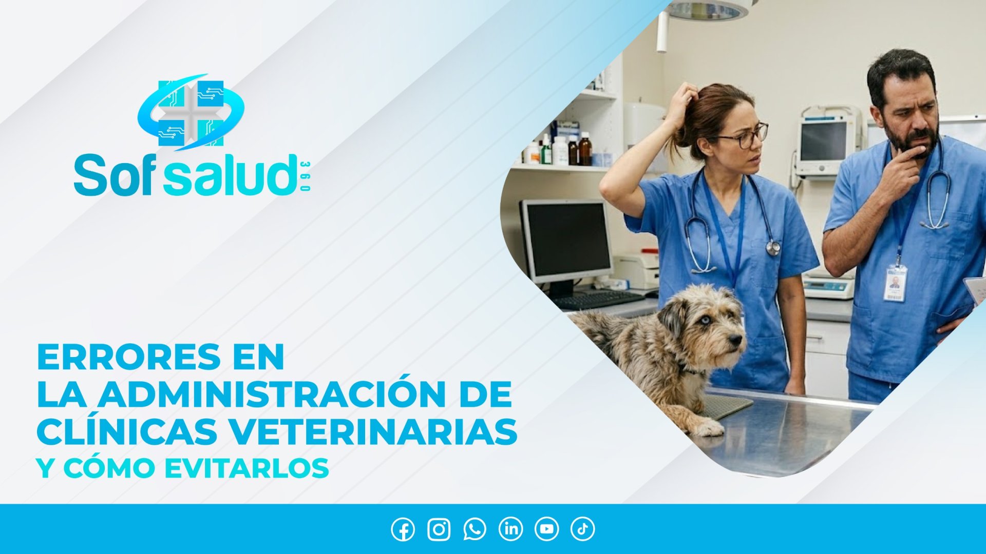 Errores en la administraci�n de cl�nicas veterinarias y c�mo evitarlos